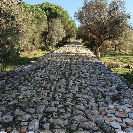 Refúgio Da Serra Apartamento